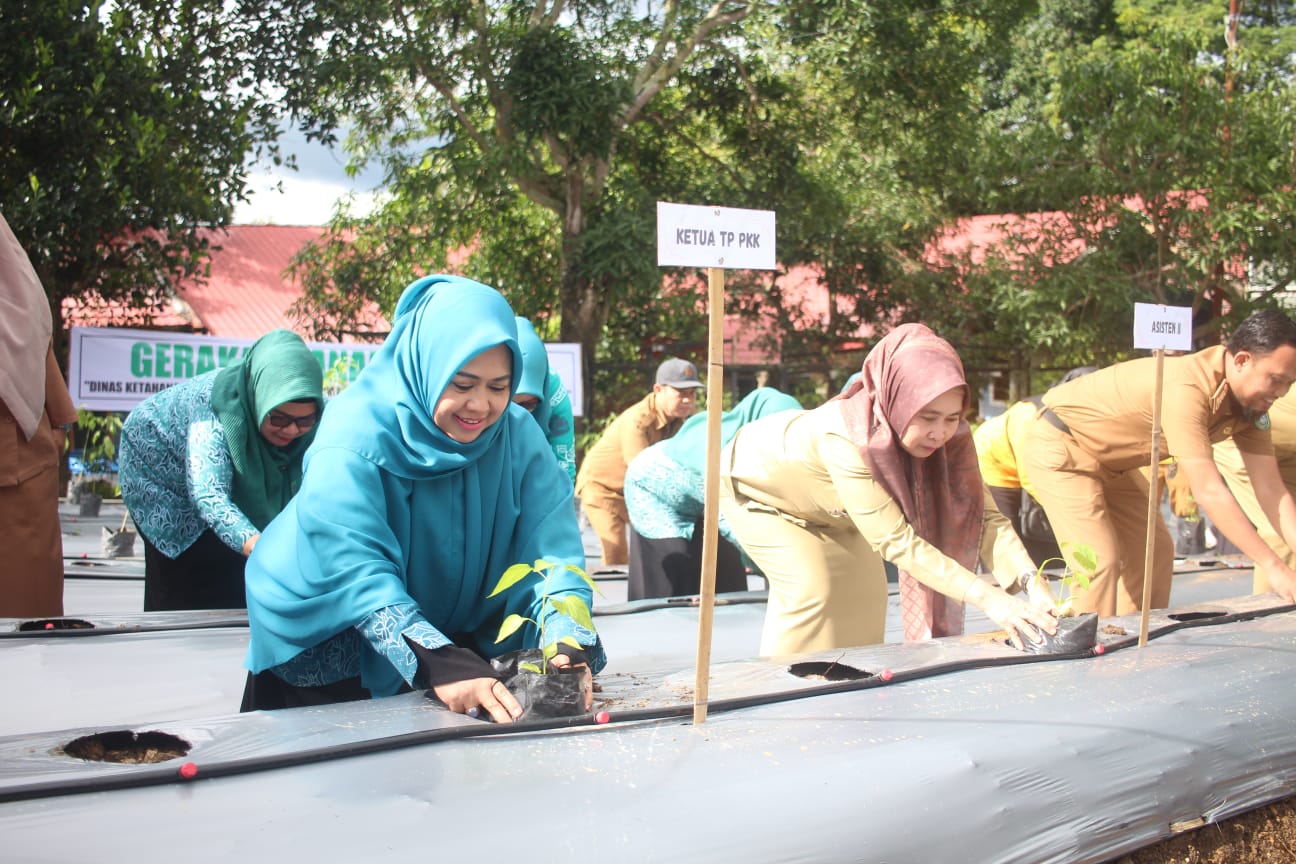 Pemkot Bersama PKK Parepare Gerakkan Masyarakat Tanam Cabai, Tak Perlu Resah Jika Harga Melonjak